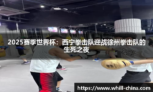 2025赛季世界杯：西宁拳击队迎战徐州拳击队的生死之夜