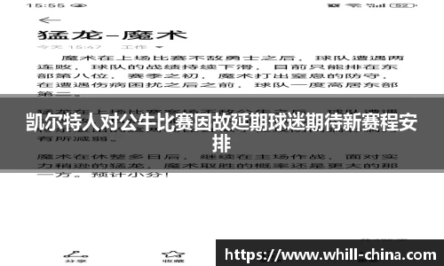 凯尔特人对公牛比赛因故延期球迷期待新赛程安排